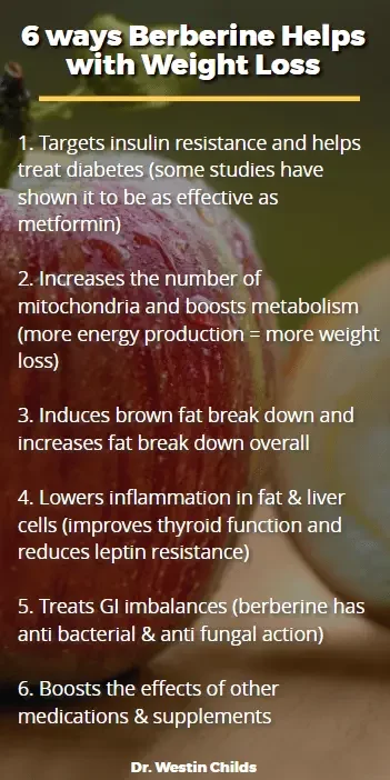 6-ways-berberine-helps-with-weight-loss-4411809