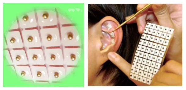 600pcs-magnetic-therapy-ear-seeds-stickers-ear-acupuncture-needle-patch-ear-care-massage-chinese-therapy-acupuncture-2803436