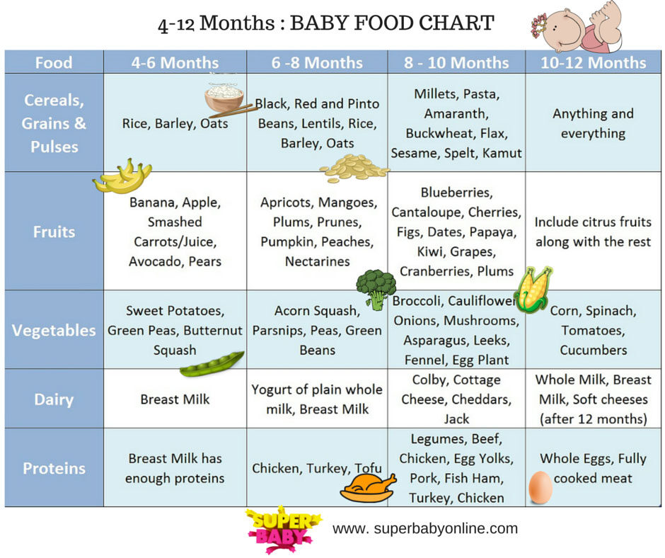 baby-food-chart-4-to-12-months-baby-superbaby-4241761
