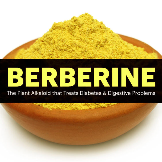 berberine-benefits-blog-650x650-4706034