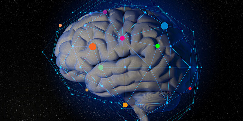 blog-10-brain-health-principles-3611534