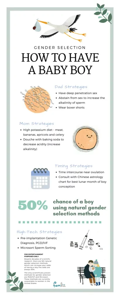 boy-gender-selection-infographic-famlii-8462097