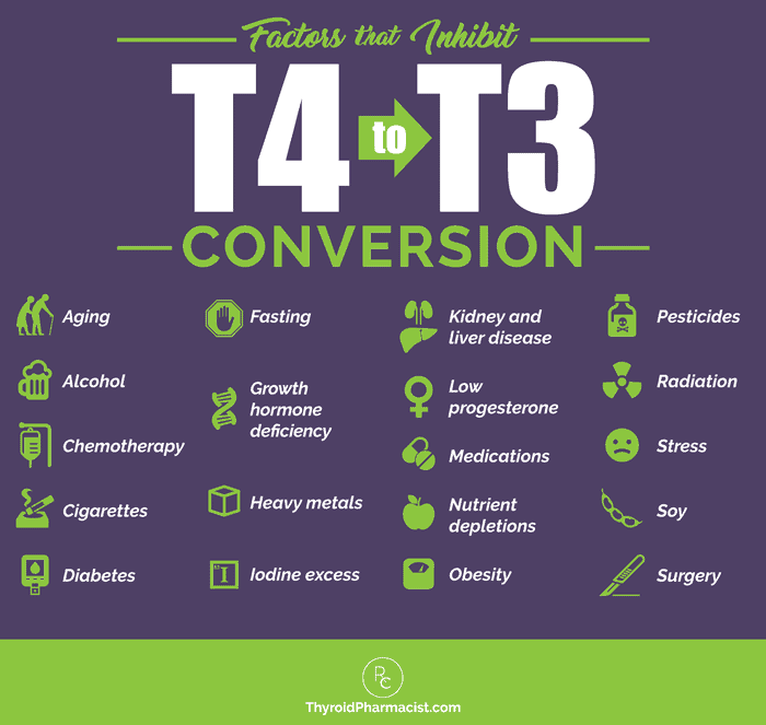 factors-that-inhibit-t4-to-t3-conversion-9551928
