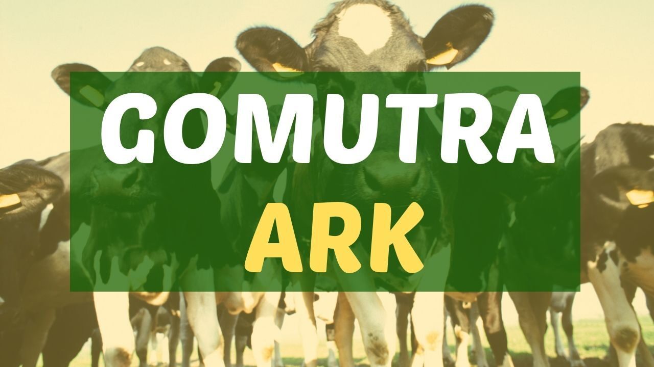 gomutra-ark-4698886