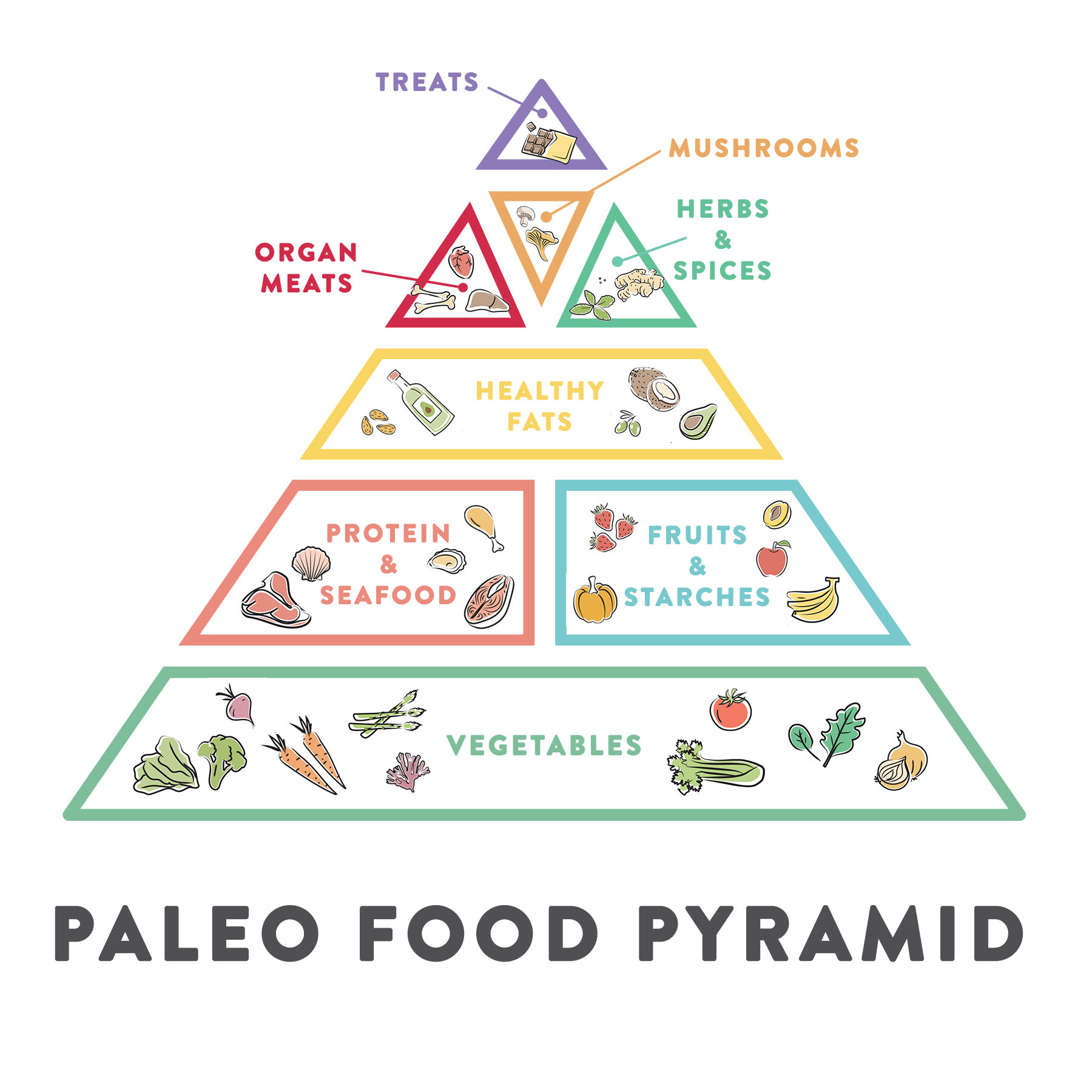 paleo-food-pyramid-9732832