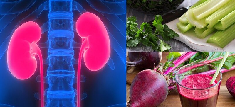 renaldiet_800x365_header-8764099