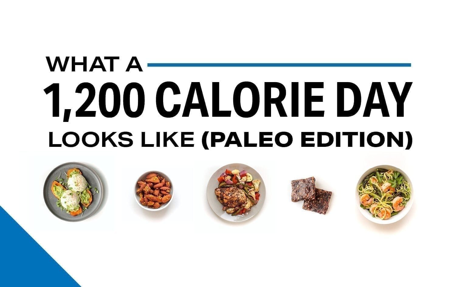 uacf-1200-cal-paleo-featured-8240062