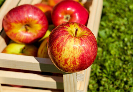 apples-medium-9694273