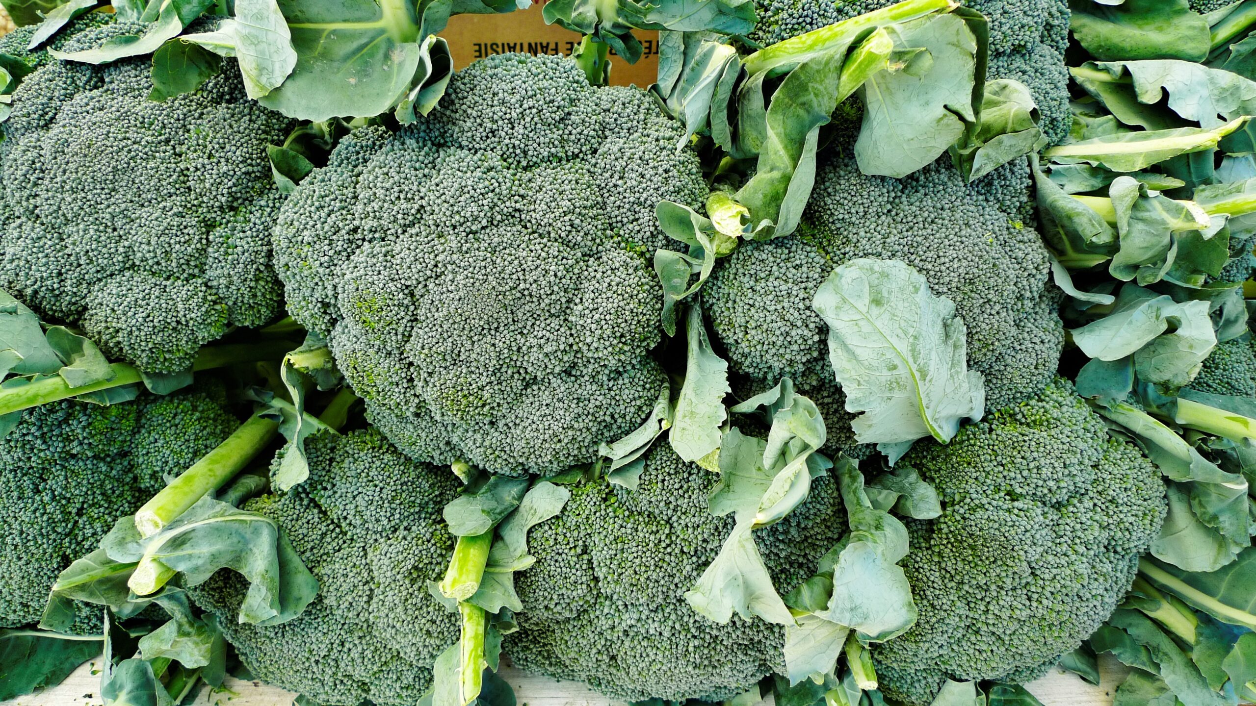 basil-broccoli-8087876