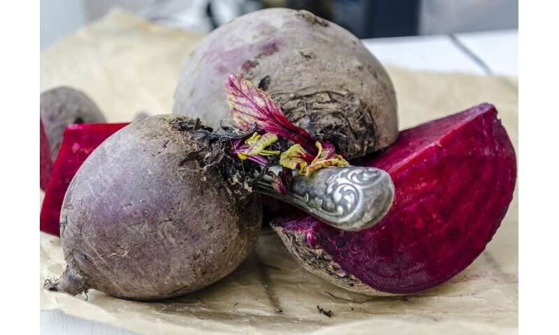 beetroot-9219385