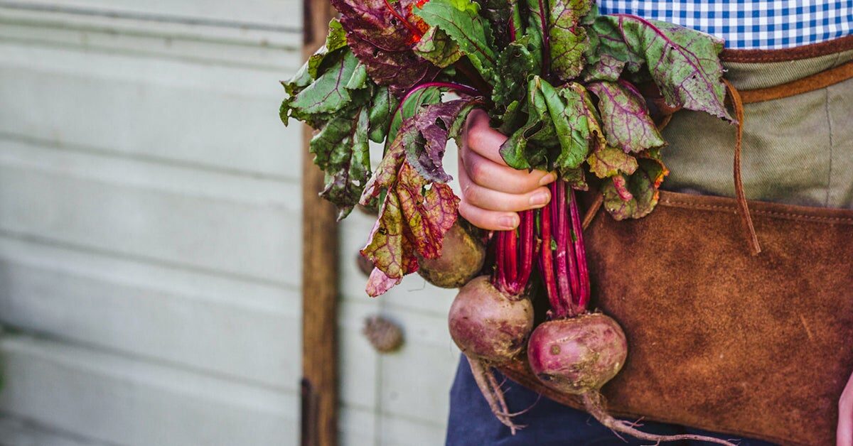 beets-1200x628-facebook-8937694