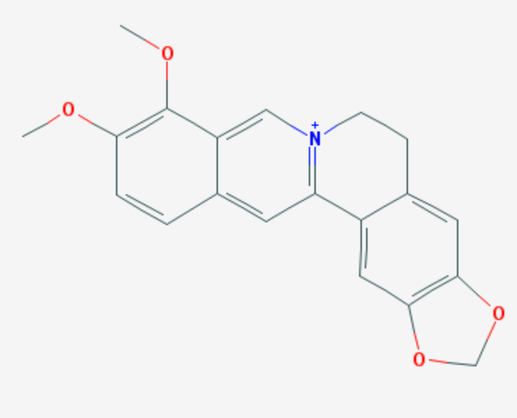 berberine-structure-4003511