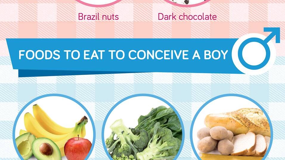 conceiving-foods-that-can-help-you-conceive-a-girl-or-boy-infographic-04-6460844