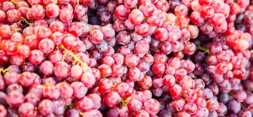 grapes_fattening_weight_loss-8810078
