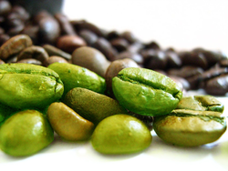 green-coffee-beans-250x250-9784001