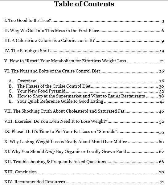 the-cruise-control-diet-review-table-of-content-8011513