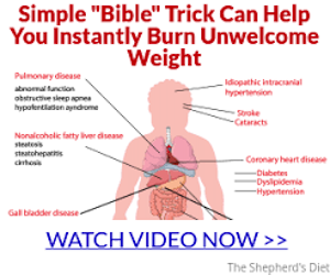 1566696767266-shepherdsdiet3-6561791