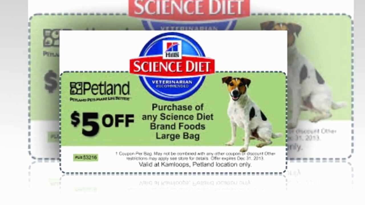 25-prettier-pics-of-hills-dog-food-coupons-all-about-dog-from-free-printable-science-diet-coupons