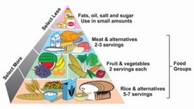 a-balanced-diet-for-a-healthy-lifestyle-4704841