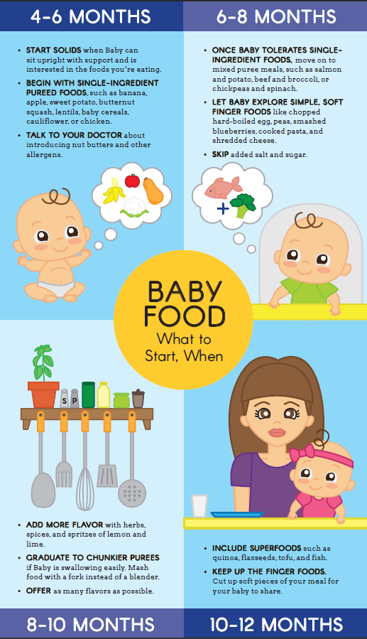 infographic-3787309
