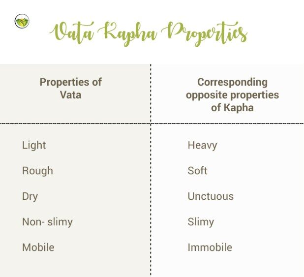 kapha-vata-properties-copy-3-2914847