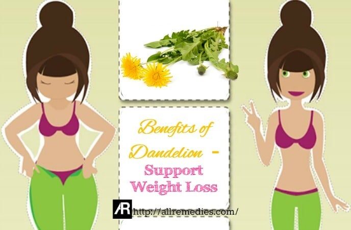benefits-of-dandelion-support-weight-loss-8551770