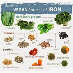 c1dee1272c6560454e6099583543da6f-vegan-protein-sources-sources-of-iron-3271884