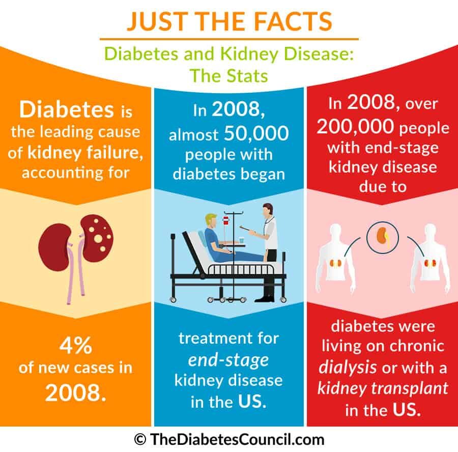 diabetes-and-kidney-diseases-statistics-2338497