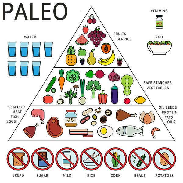 dnx-bar-paleofoods-paleo-diet-3308620