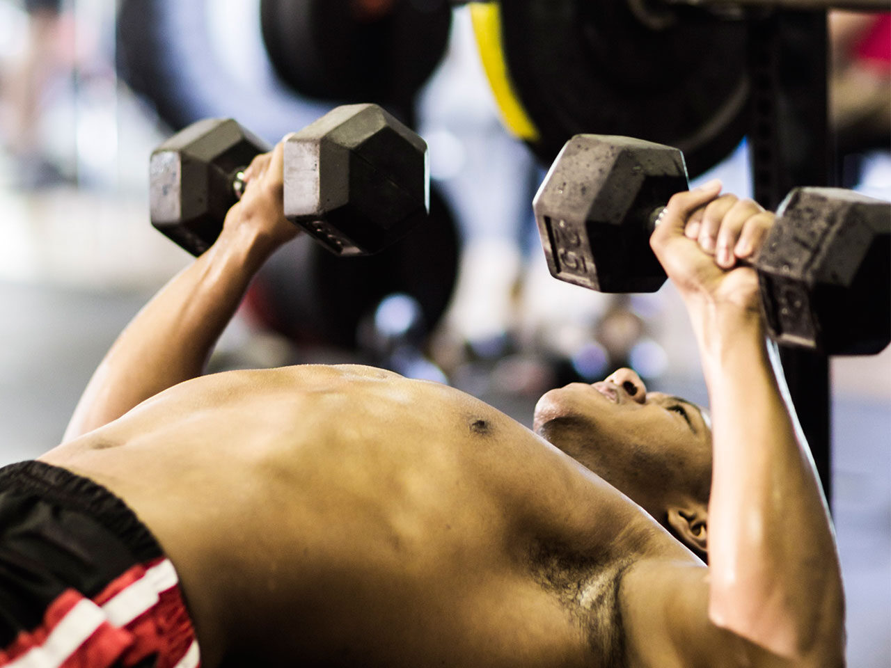 dumbbell-bench-1280-3147197