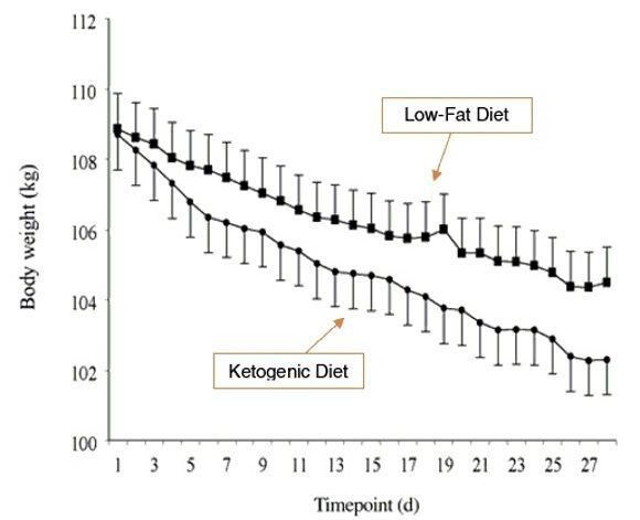 graph-1-fat-loss-2987782