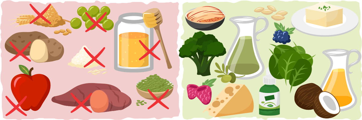 graphic_how-vegetarians-can-limit-their-carbs-7164076
