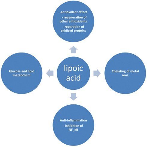 lipoic-acid-8541797