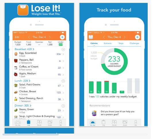 lose-it-app-2737141