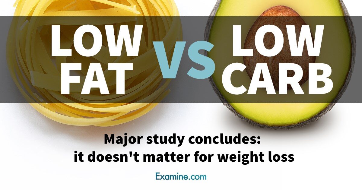 lowfat-vs-lowcarb-share-5628581
