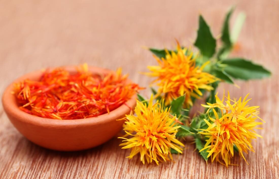 safflower-seeds-can-create-safflower-oil-4893542