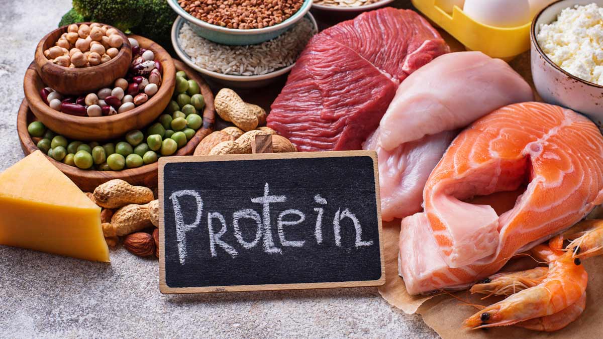 High Protein