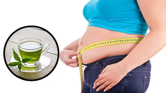 Green Tea Weight Loss