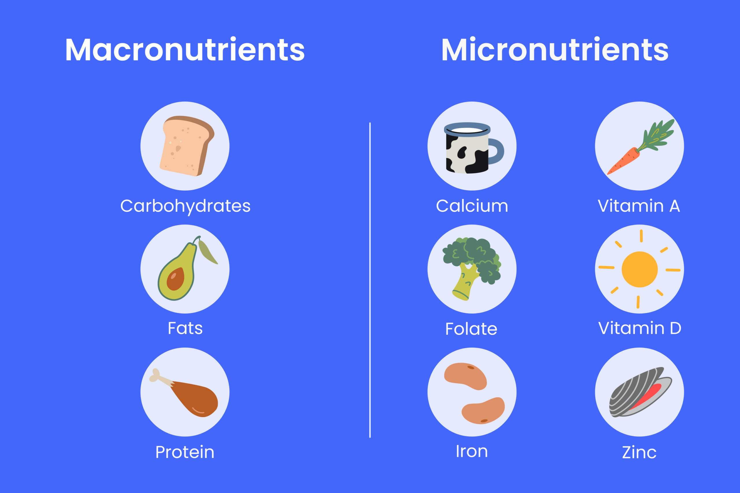 Healthy Foods