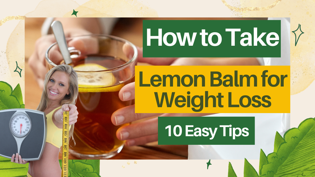 How to Take Lemon Balm for Weight Loss: 10 Easy Tips post thumbnail image